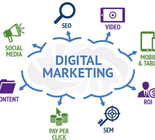 ExpertCrud Digital Marketing